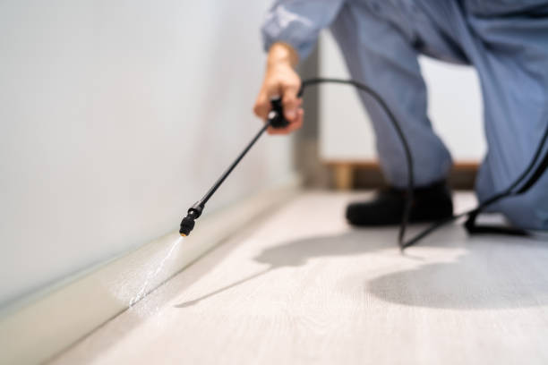 Licensed Pest Control service in Marion, MT - Show Me Pest Control